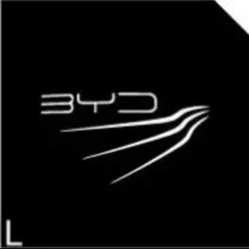Door Welcome Lights Exit Warning Lights for BYD Car A 01