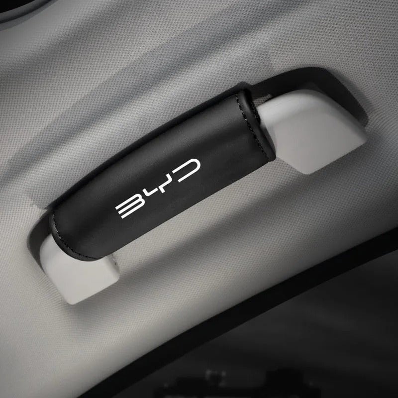 Roof Handle Anti scratch Protector Case For BYD Black 01