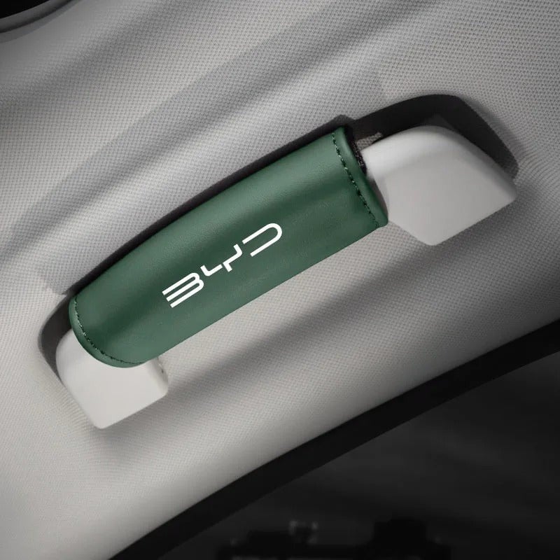 Roof Handle Anti scratch Protector Case For BYD Green 01